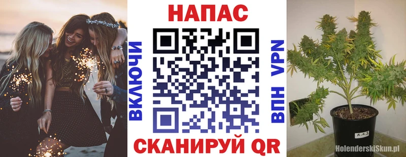 Магазин наркотиков Суздаль A PVP  Галлюциногенные грибы  Марихуана  NBOMe  Гашиш  Кокаин 